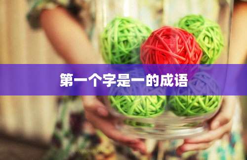 第一个字是一的成语