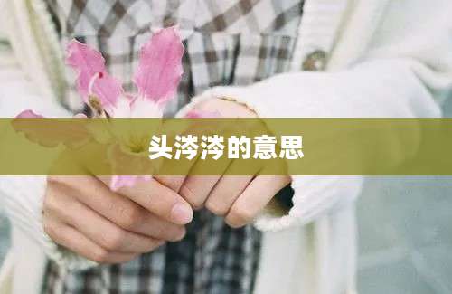 头涔涔的意思