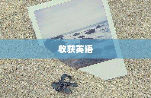 收获英语