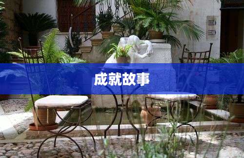 成就故事