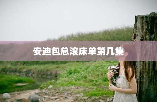 安迪包总滚床单第几集