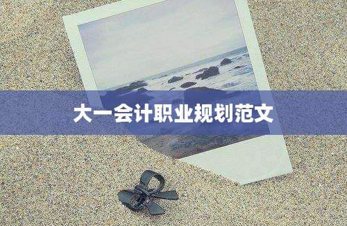 大一会计职业规划范文