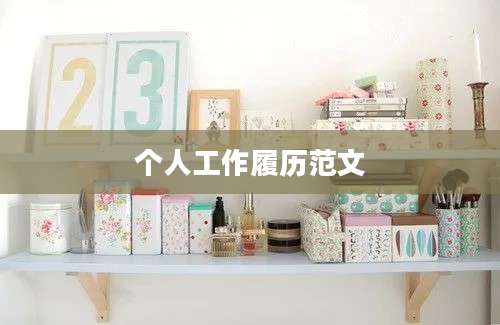 个人工作履历范文