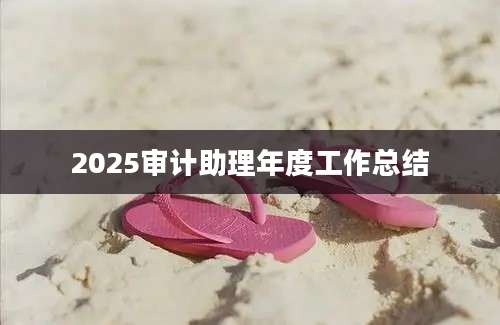 2025审计助理年度工作总结