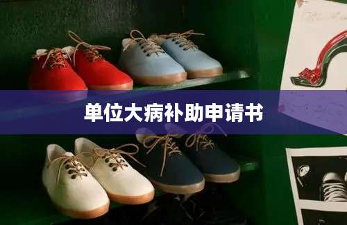 单位大病补助申请书