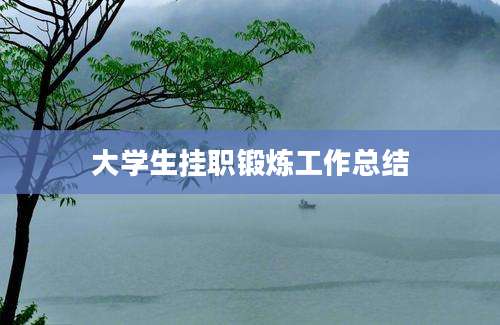 大学生挂职锻炼工作总结