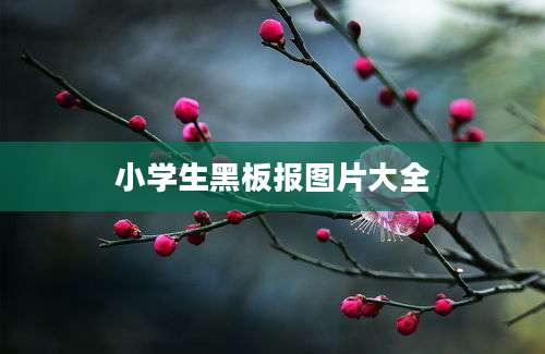 小学生黑板报图片大全
