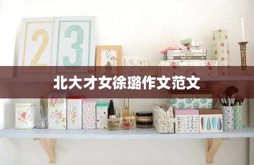 北大才女徐璐作文范文