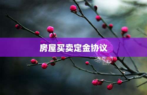 房屋买卖定金协议