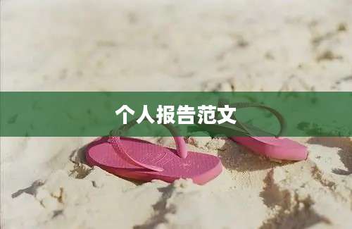 个人报告范文