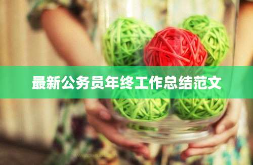 最新公务员年终工作总结范文