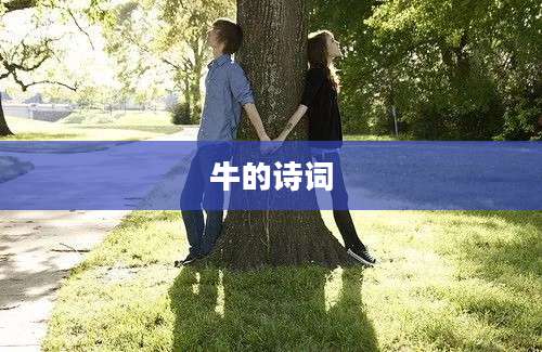 牛的诗词