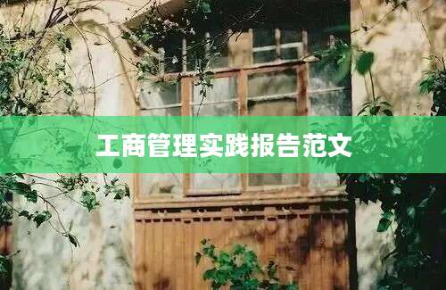 工商管理实践报告范文