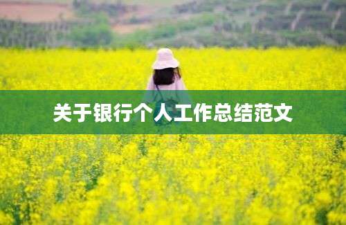 关于银行个人工作总结范文