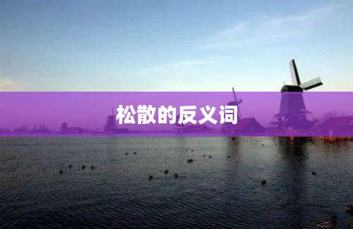 松散的反义词