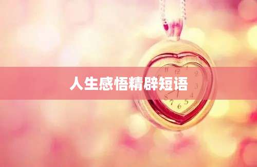 人生感悟精辟短语