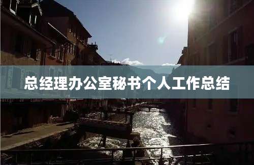 总经理办公室秘书个人工作总结