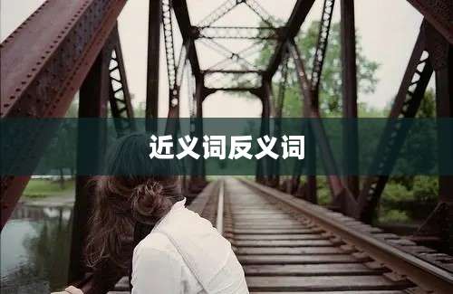 近义词反义词