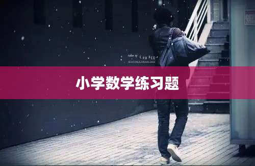 小学数学练习题