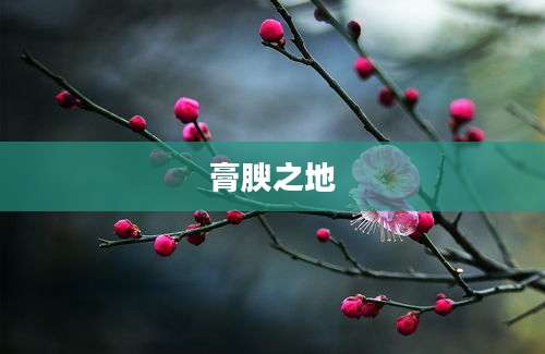 膏腴之地