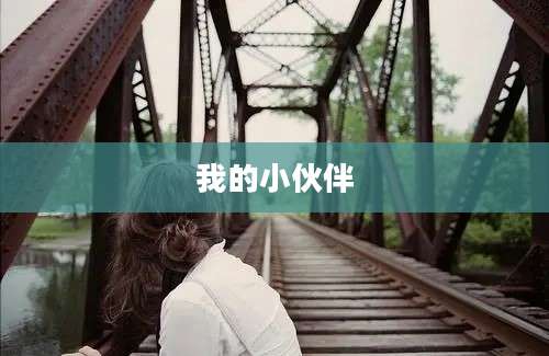 我的小伙伴