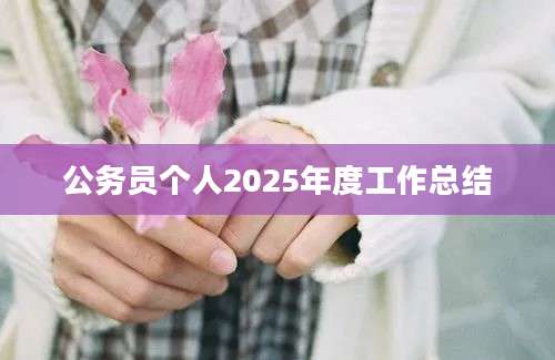 公务员个人2025年度工作总结