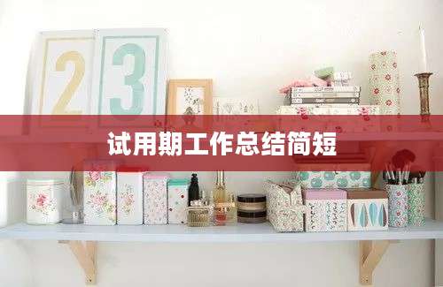 试用期工作总结简短