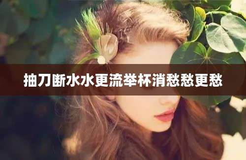 抽刀断水水更流举杯消愁愁更愁