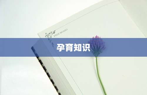 孕育知识