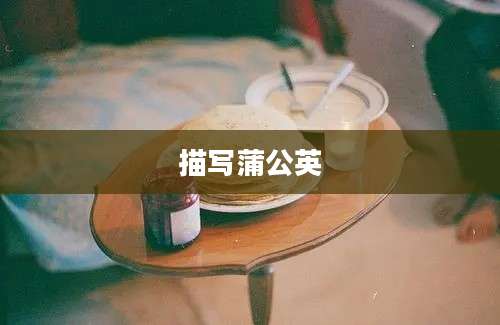 描写蒲公英