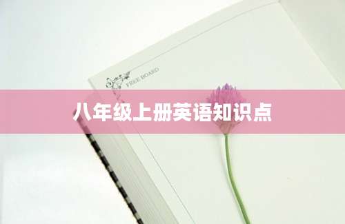 八年级上册英语知识点