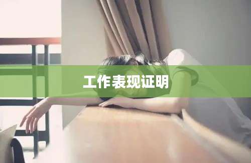 工作表现证明