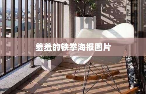 羞羞的铁拳海报图片