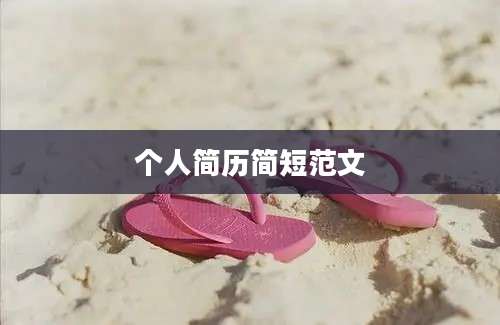 个人简历简短范文