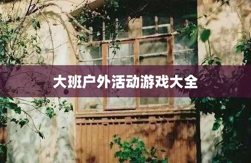 大班户外活动游戏大全