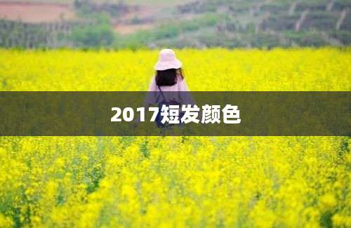 2017短发颜色