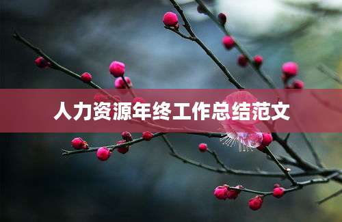 人力资源年终工作总结范文