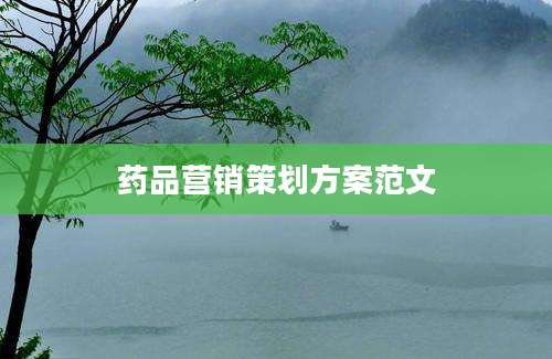 药品营销策划方案范文