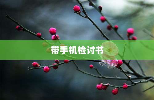 带手机检讨书