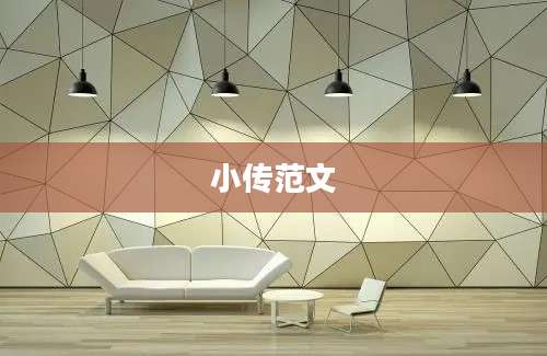 小传范文