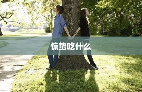 惊蛰吃什么