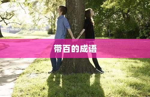 带百的成语