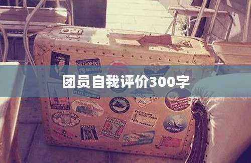 团员自我评价300字