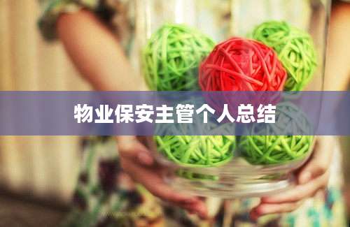物业保安主管个人总结