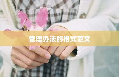 管理办法的格式范文