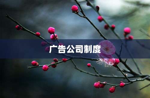 广告公司制度