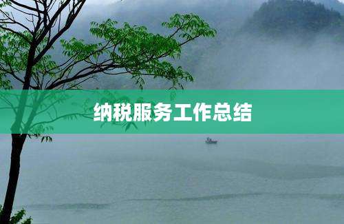 纳税服务工作总结