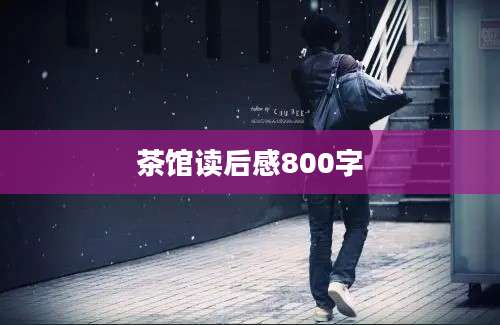 茶馆读后感800字