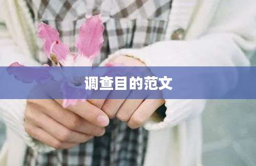 调查目的范文