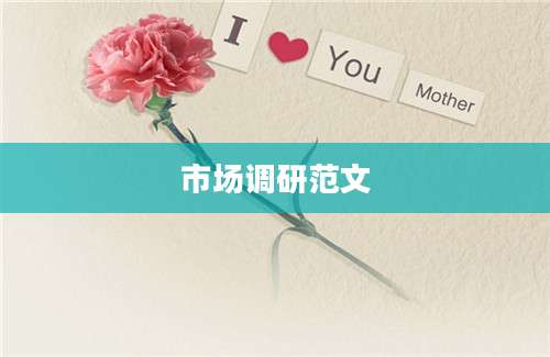 市场调研范文